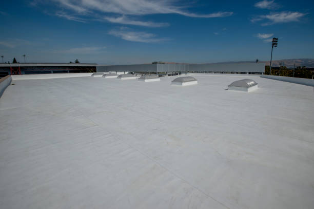 Best Skylight Installation and Repair  in Shadyside, OH