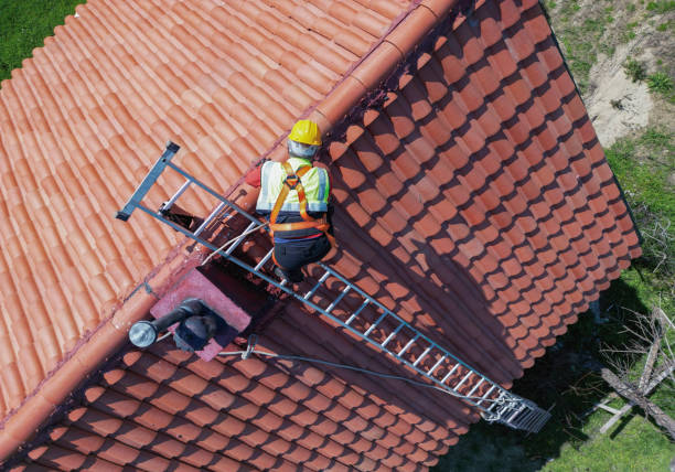 Best Metal Roofing Installation  in Shadyside, OH