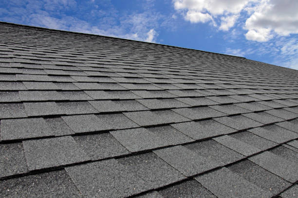 Best Gutter Installation and Repair  in Shadyside, OH